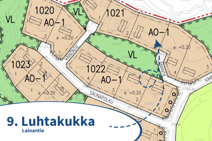 9. Luhtakukka