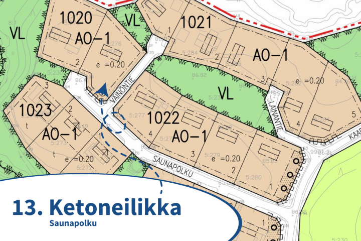 13. Ketoneilikka